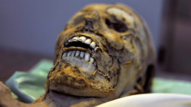 Hungarian  mummy.jpg